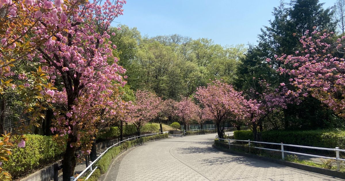 『CLANNAD』東京・聖地