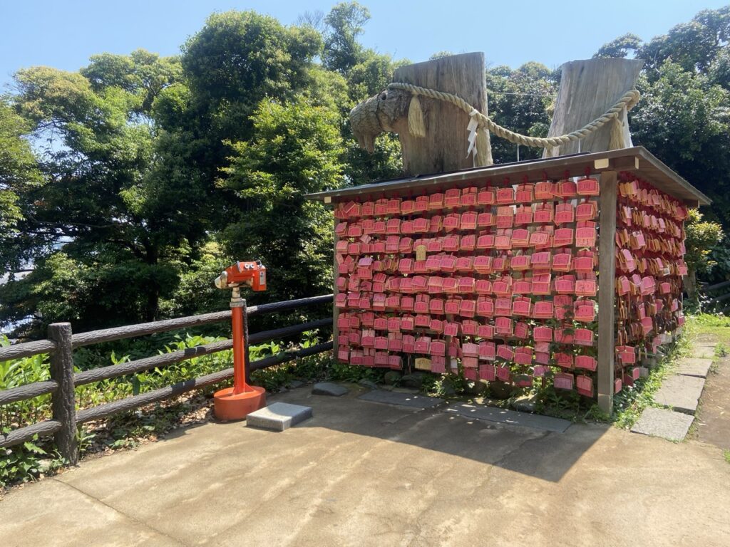江島神社 むすびの木