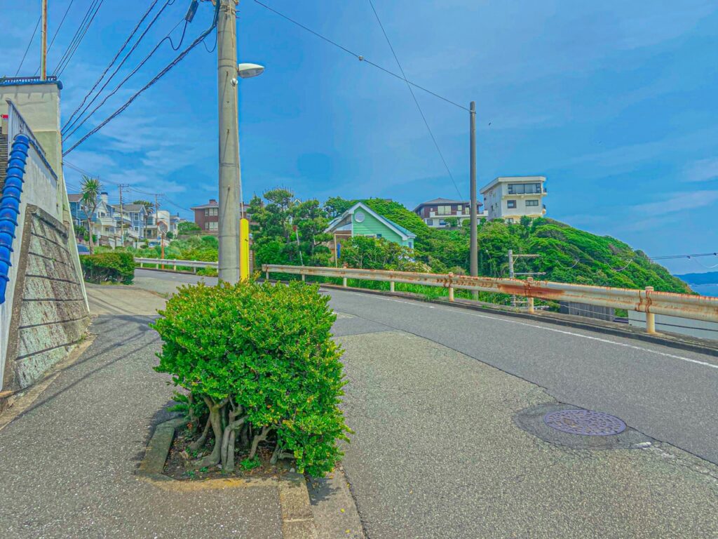 学校へ続く丘道2（TARI TARI）