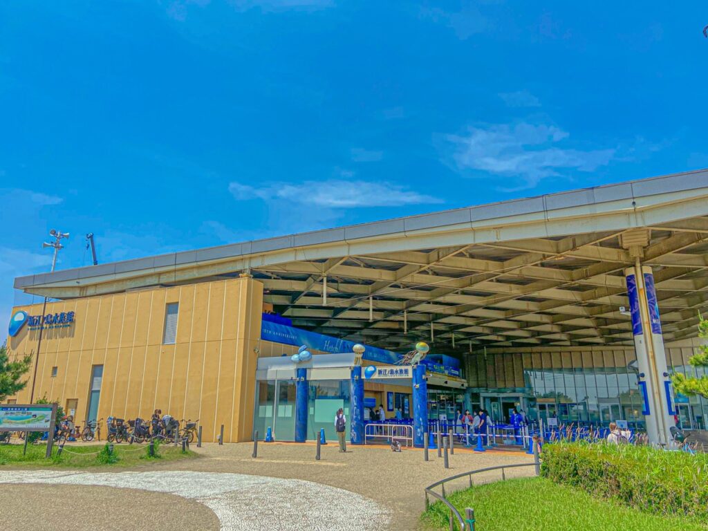 新江ノ島水族館（青ブタ）