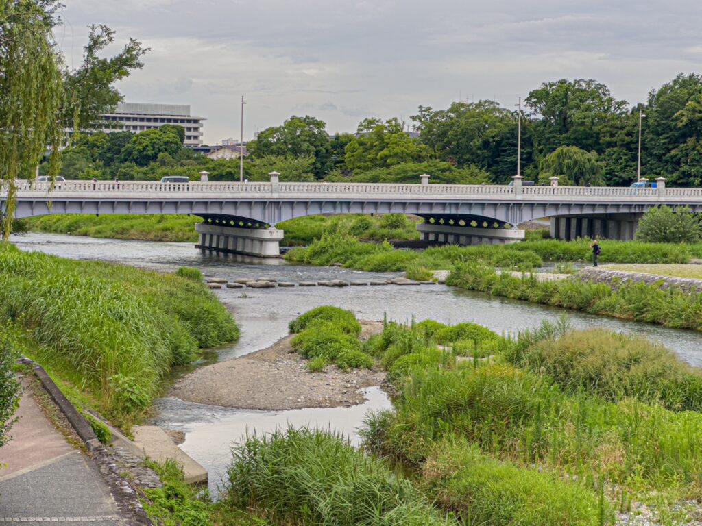 もち蔵の告白シーンの鴨川デルタ（たまこまーけっと）