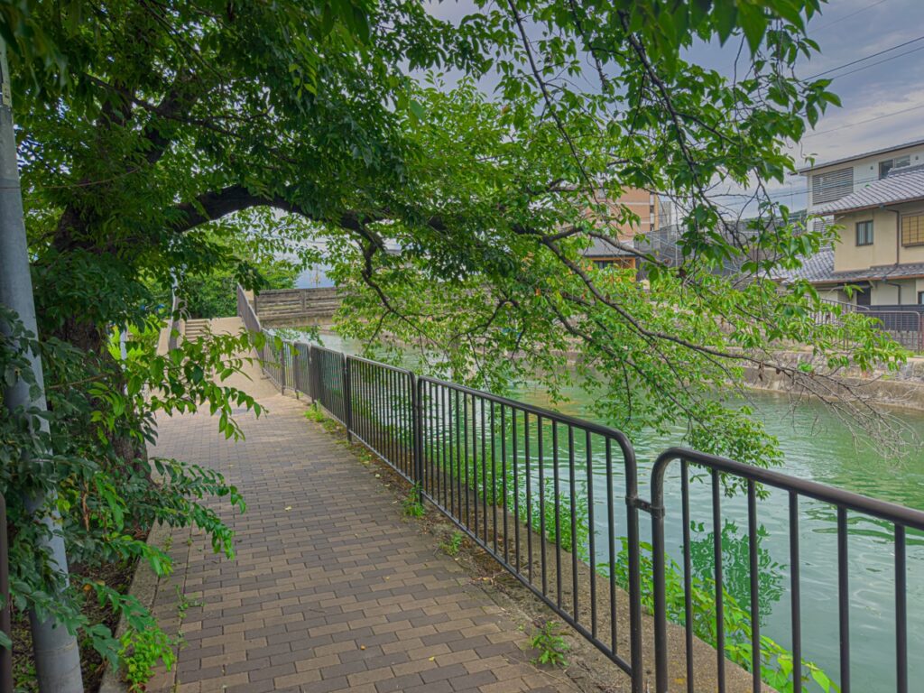 『たまこラブストーリー』のキービジュアルの場所（たまこまーけっと）