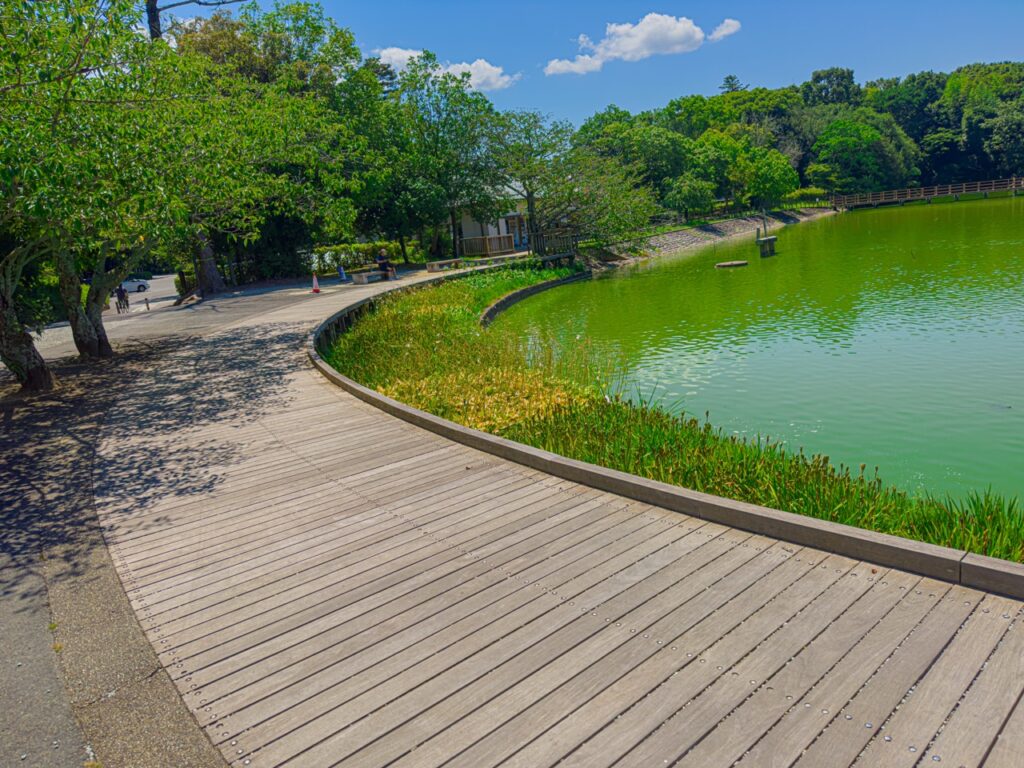 深田池（境界の彼方）
