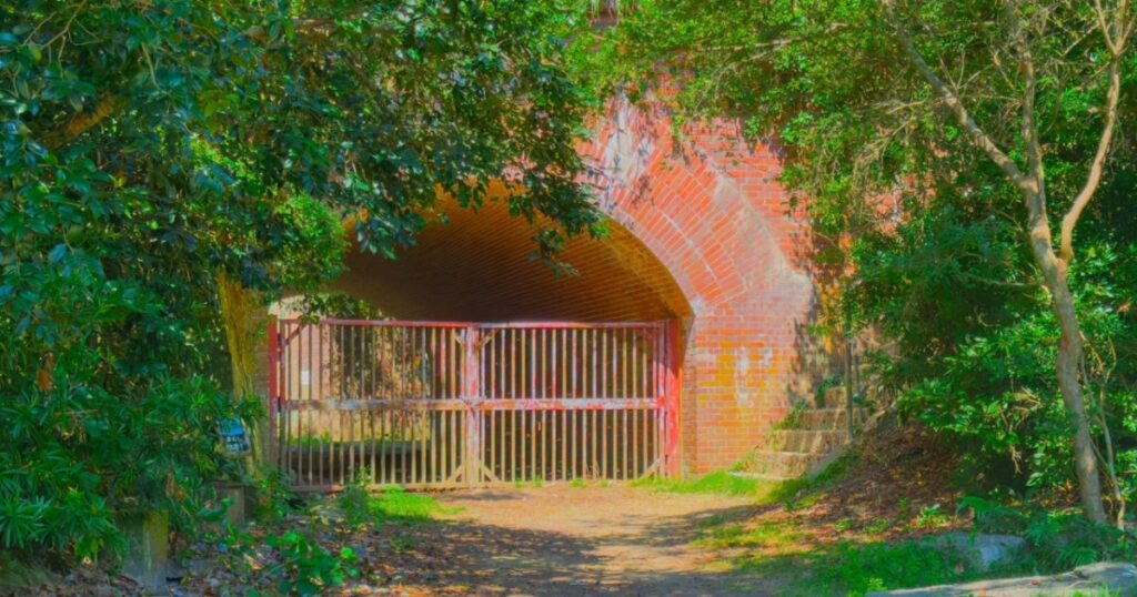 サマータイムレンダ聖地