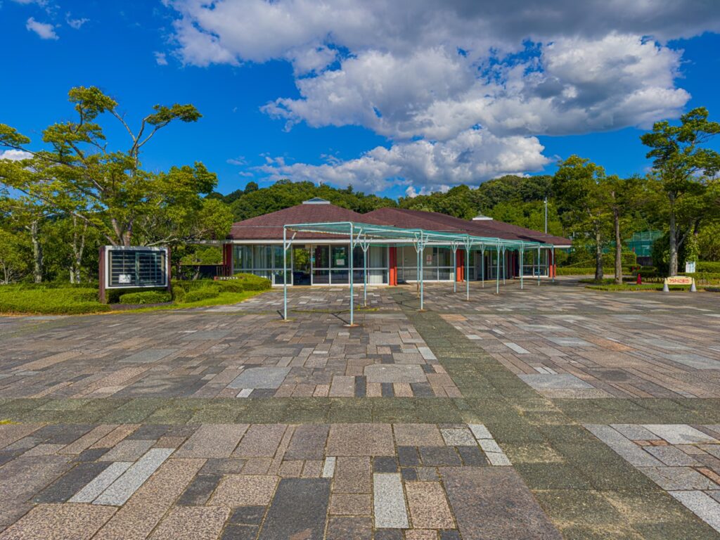 太陽が丘のプール