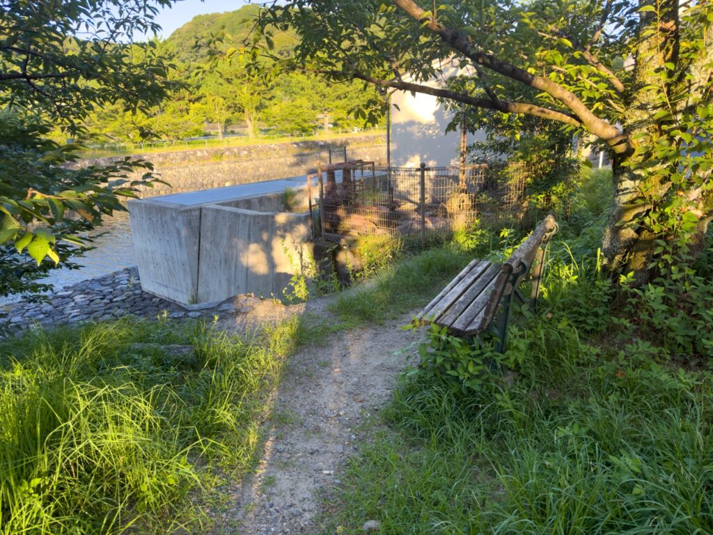 久美子ベンチ_横から