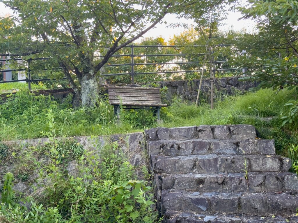 久美子ベンチ_階段込みカット