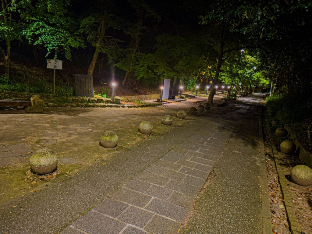 さわらびの橋_夜