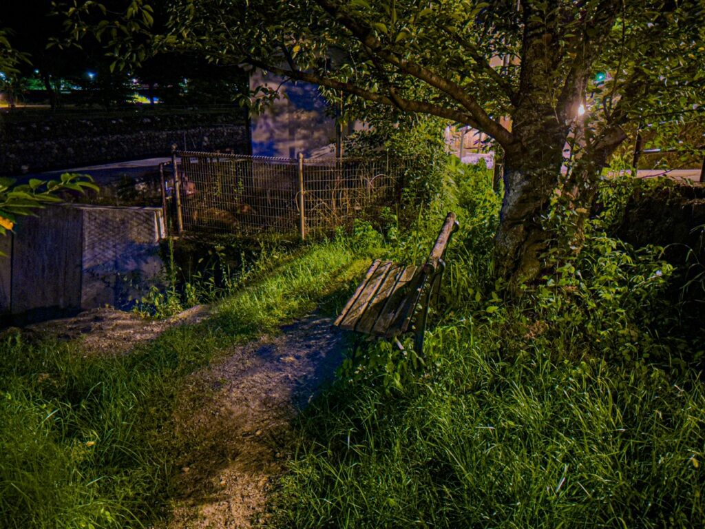 久美子ベンチ_夜