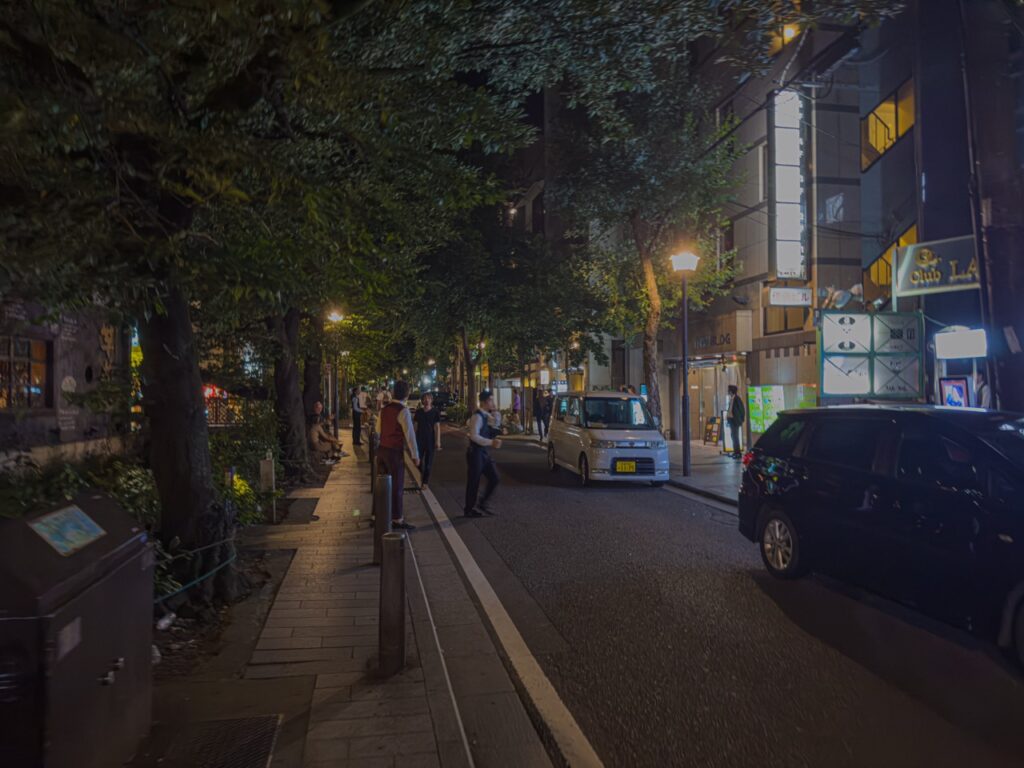 木屋町通り（夜は短し歩けよ乙女）