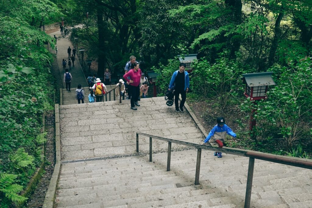 男坂を上から見下ろした構図（ヤマノススメ）