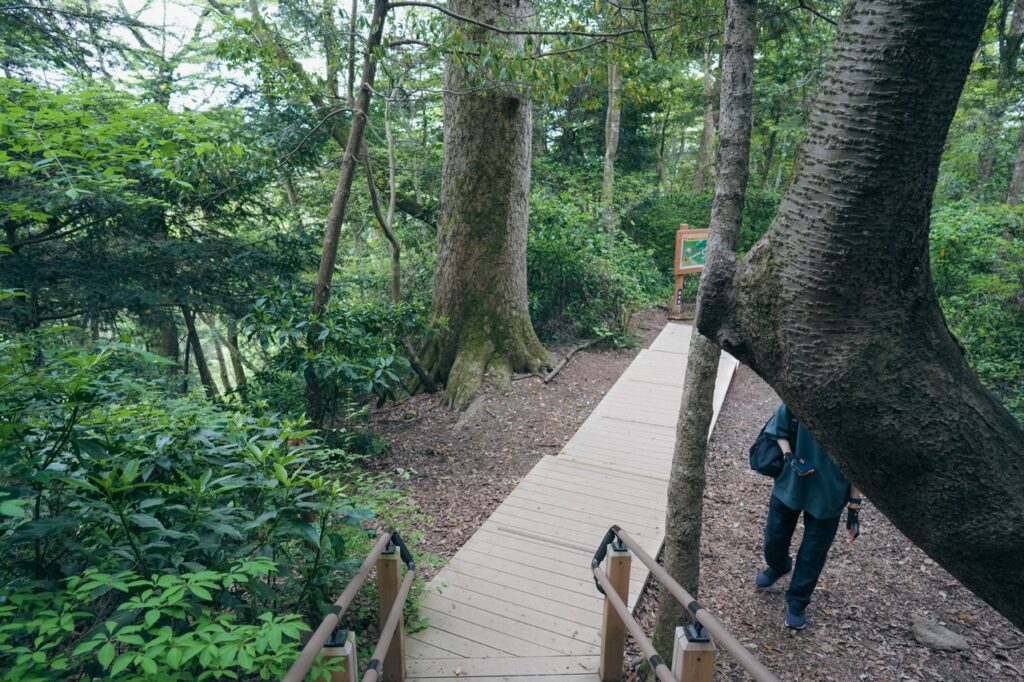 高尾山6号路（ヤマノススメ）