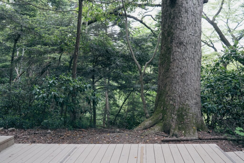 ここなちゃんと出会うシーンの場所（ヤマノススメ）