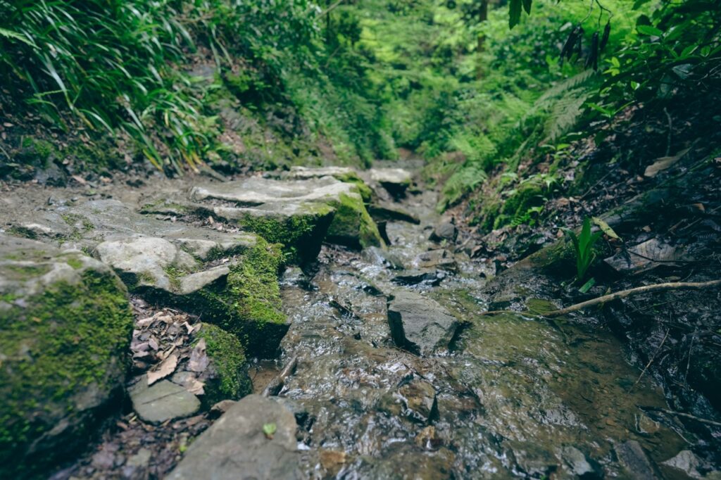 沢場_ローポジション（ヤマノススメ）