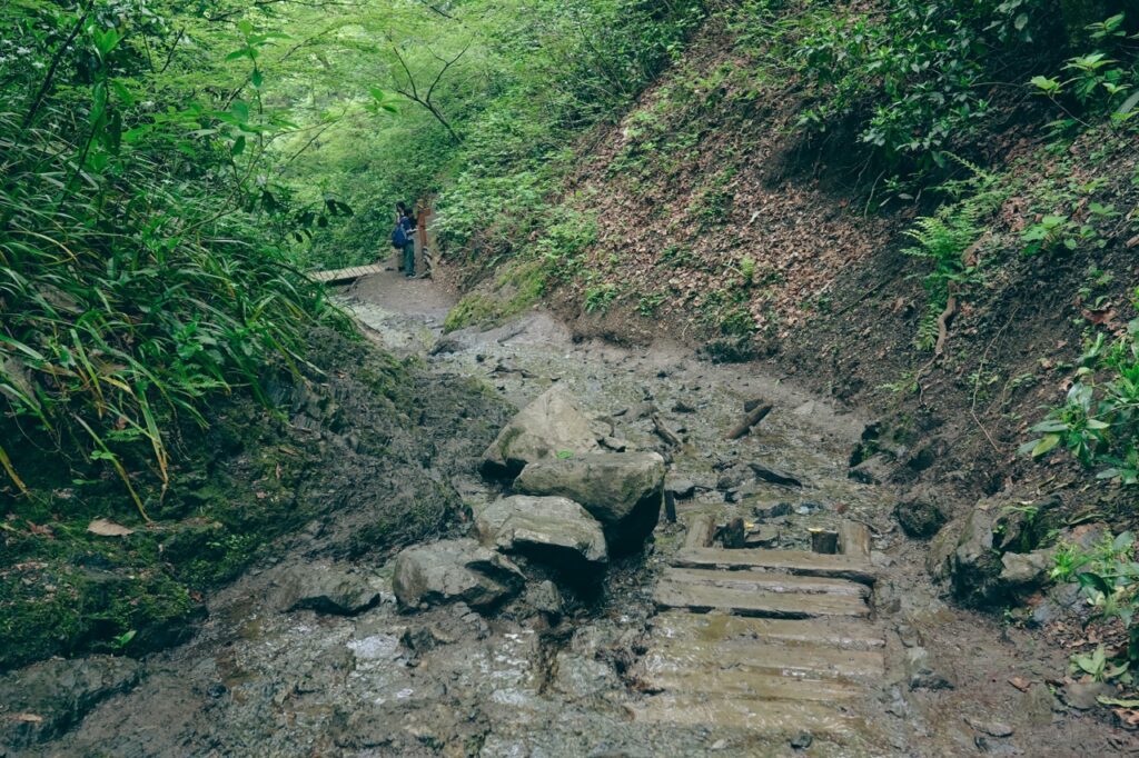 沢場（ヤマノススメ）
