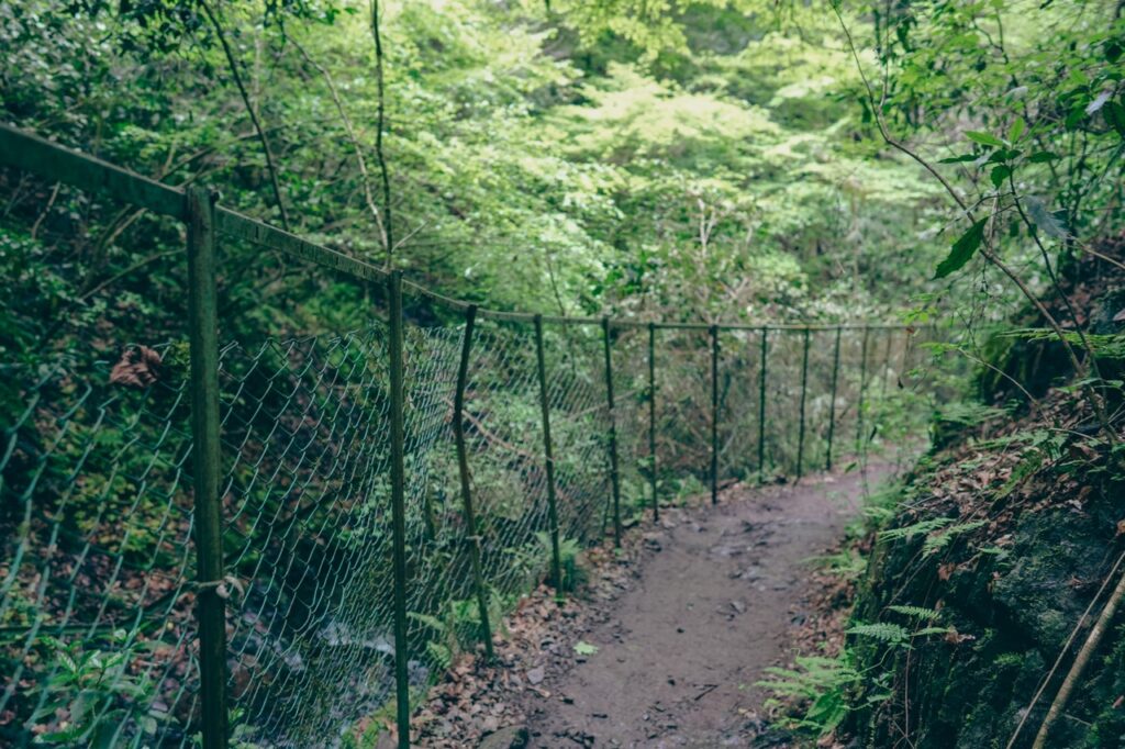 崖のフェンス（ヤマノススメ）