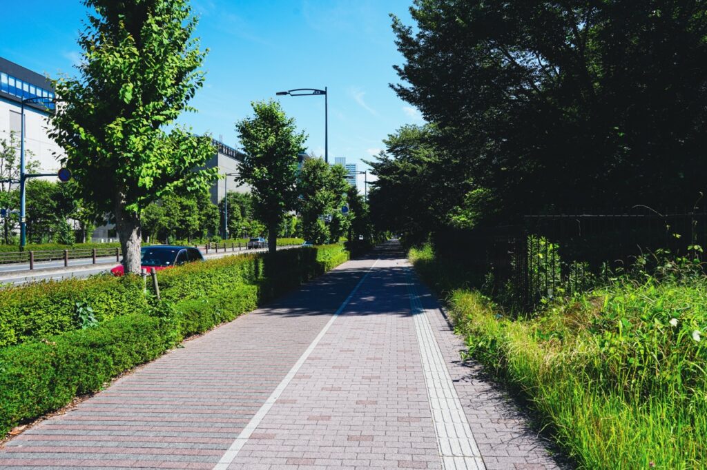 昭和記念公園沿いの歩道