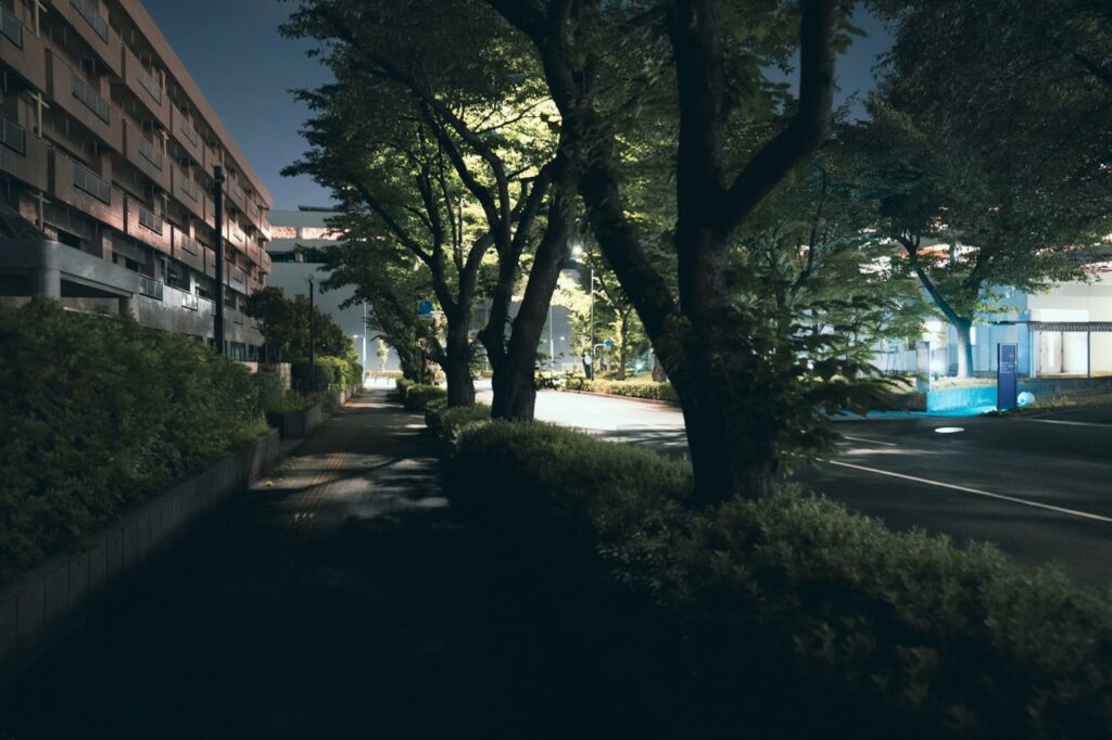 夜の多摩緑第二住宅周辺の歩道