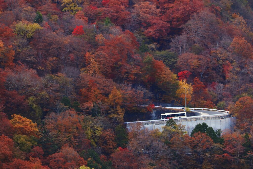 紅葉のいろは坂
