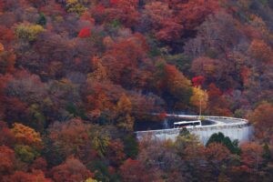 紅葉のいろは坂