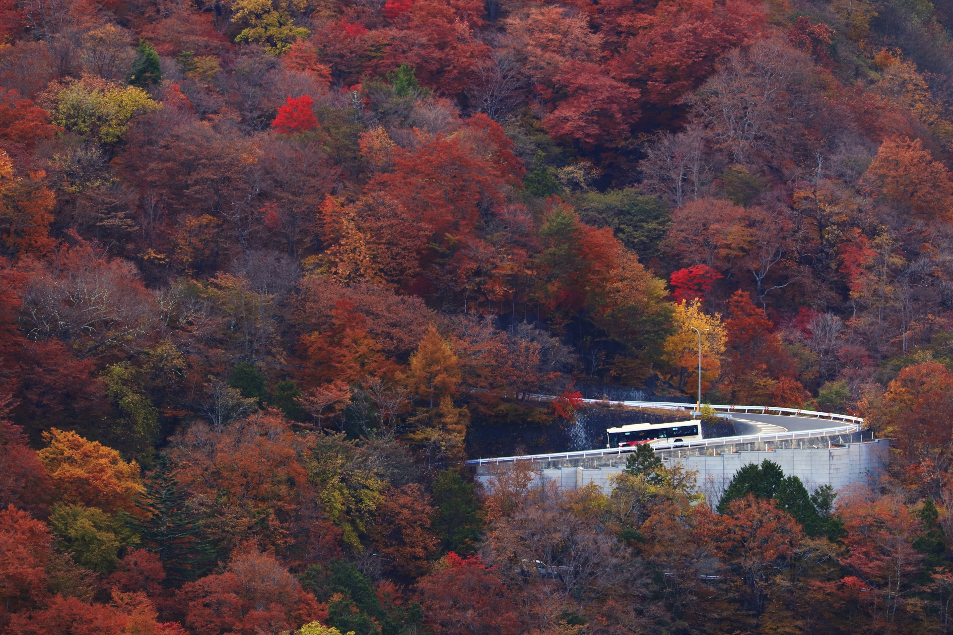 紅葉のいろは坂